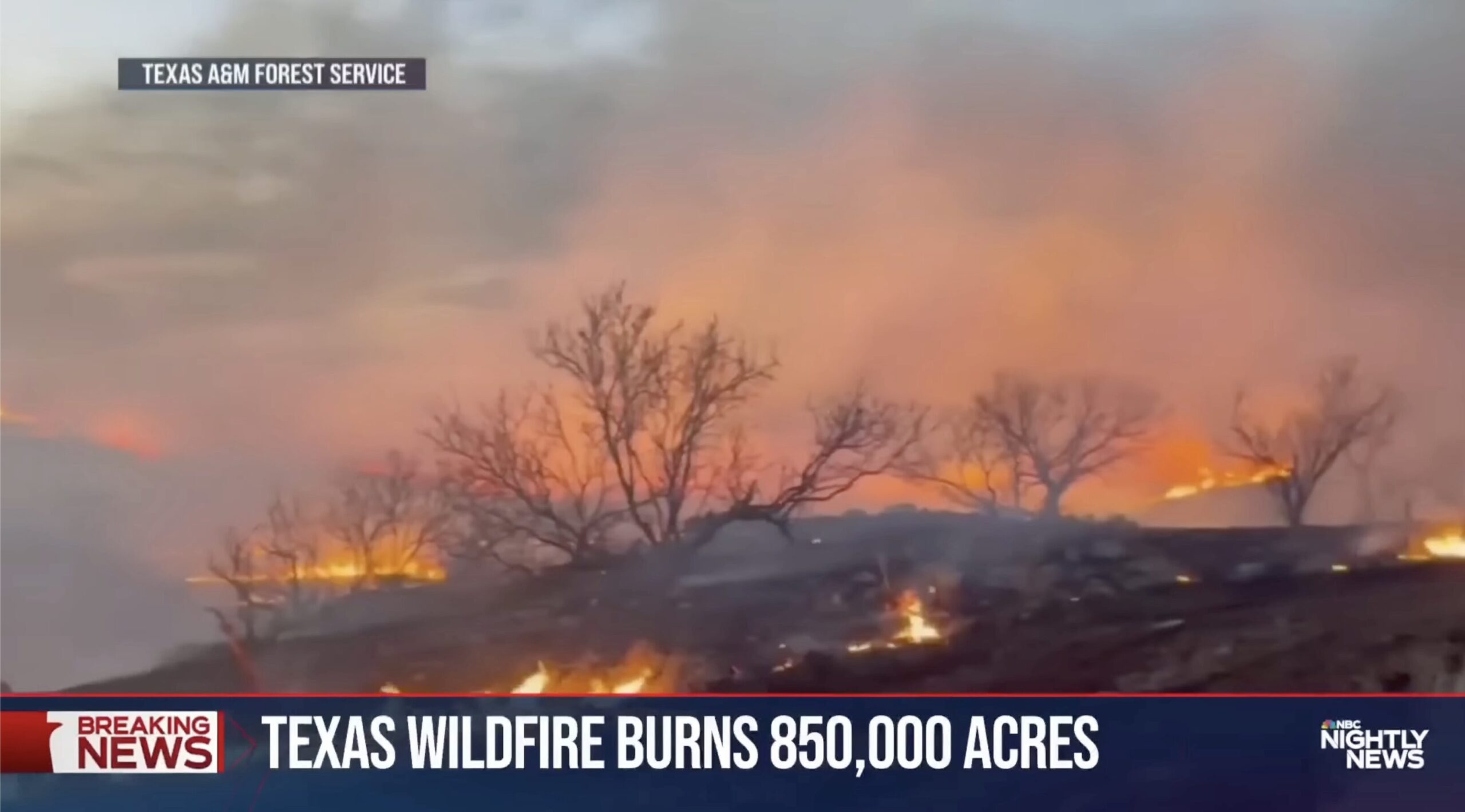 米テキサス州の山火事