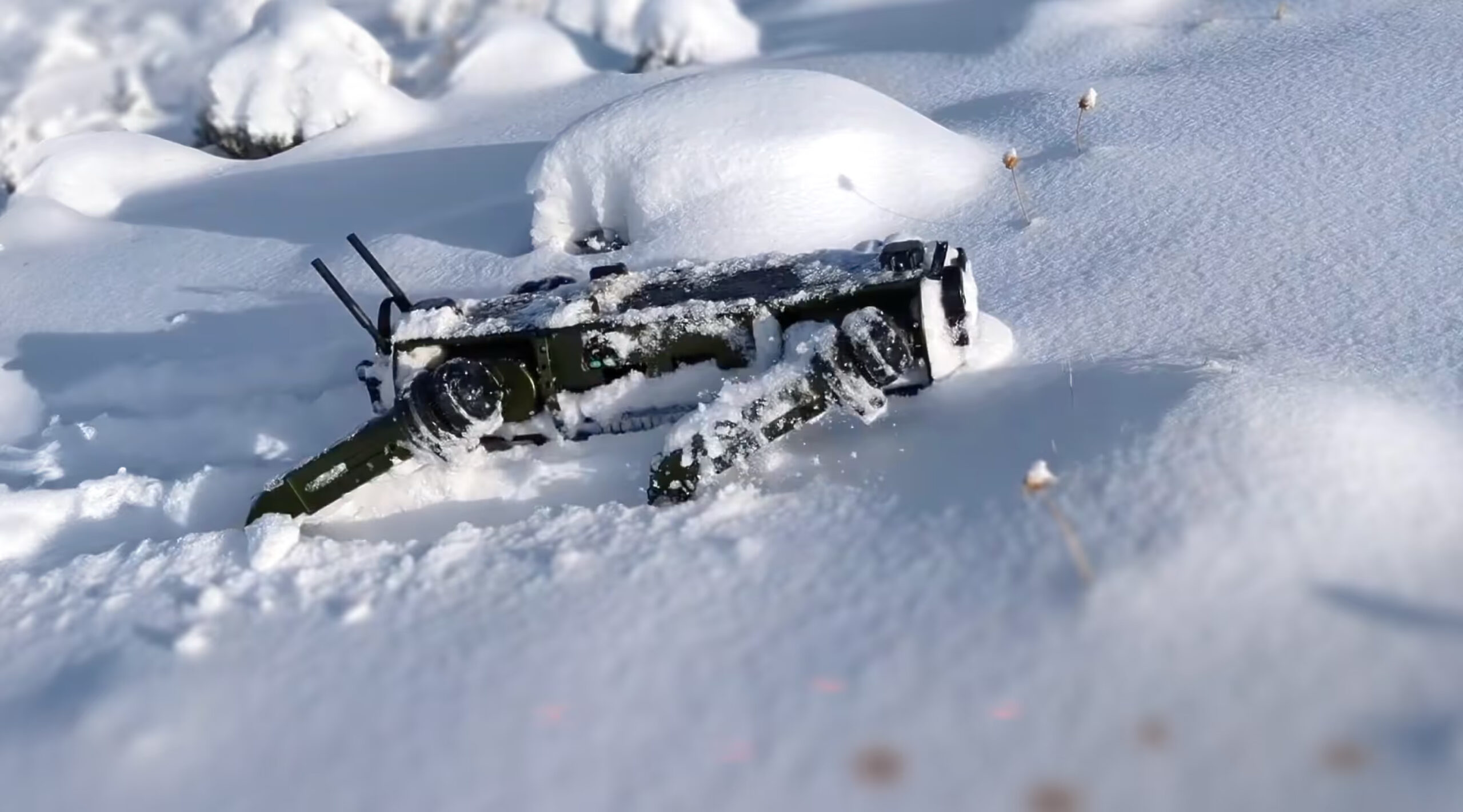 雪中のVision60